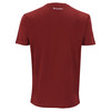 Koszulka Tecnifibre Team Cotton Tee Cardinal