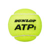 Piłki Dunlop ATP Championship 2x4szt.