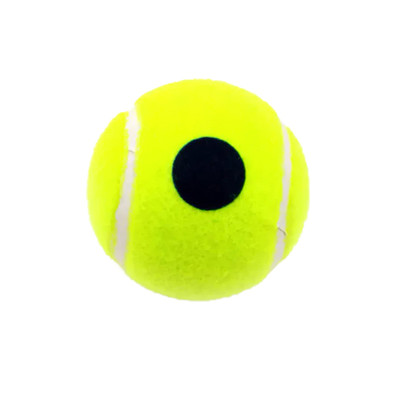 Piłki Karakal MID Transition Tennis Balls 12szt.