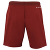Spodenki Tecnifibre Team Short Cardinal
