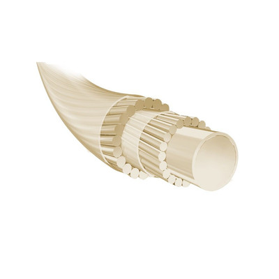 Naciąg tenis Babolat Syn Gut Force 1.30 Natural