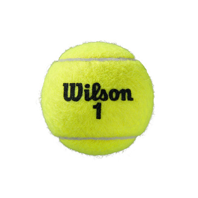 Piłki Wilson Roland Garros Clay Court 18x4szt.
