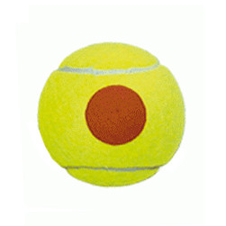 Piłka Pro's Pro Stage 2