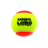 Piłki Karakal LoBo Transition Tennis Ball 12szt.